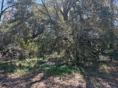 9505 Road To The Lake Rd, Tallahassee, FL, 32317