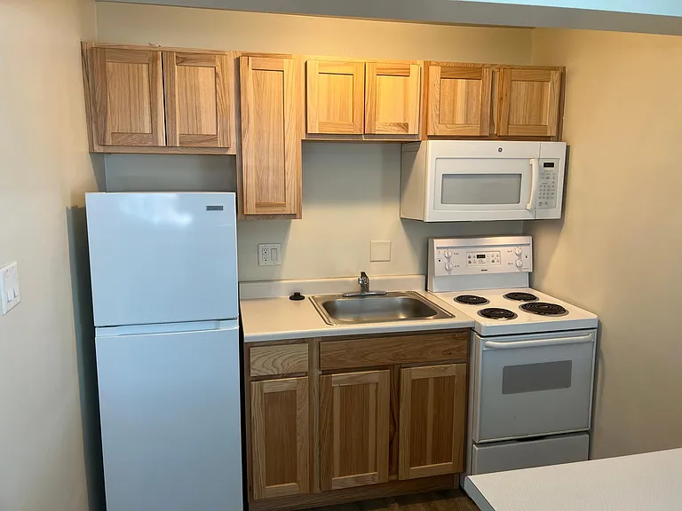 60.5 S Wells Ave #1B — Photo 3