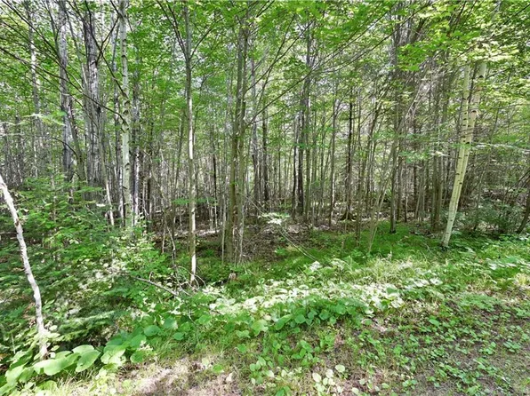 Lot 4 Warner Drive, Hayward, WI 54843