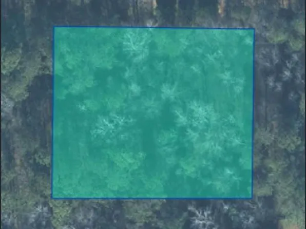 0 Lane Rd #0, Oxford, AL 36203