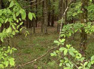 LOT 1058 Mountain View Ln, White Pine, TN 37890