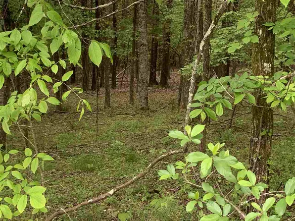 LOT 1058 Mountain View Ln, White Pine, TN 37890