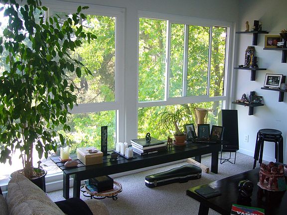 Celing to floor double-pane windows