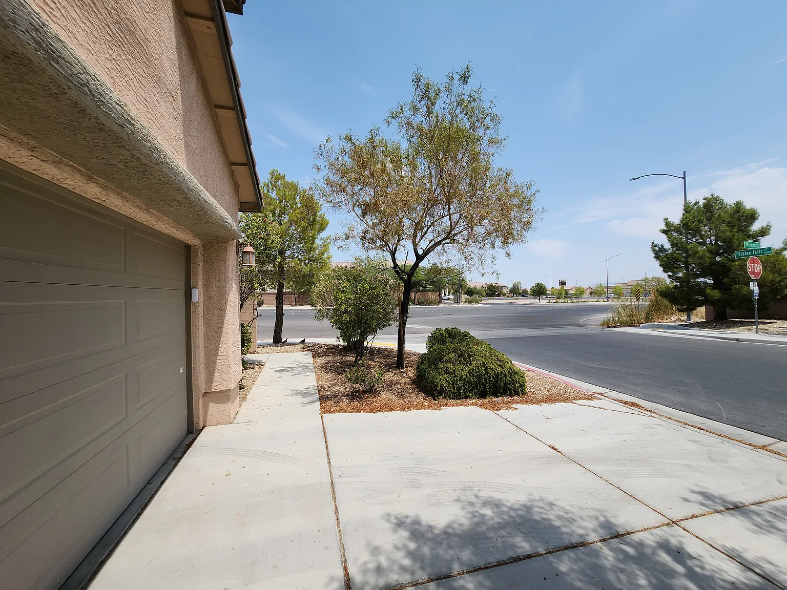 8103 Ribbon Falls St — Photo 3