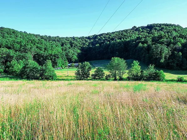 5968 Ringos Mills Rd, Hillsboro, KY 41049