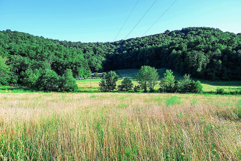 5968 Ringos Mills Rd - Property Image