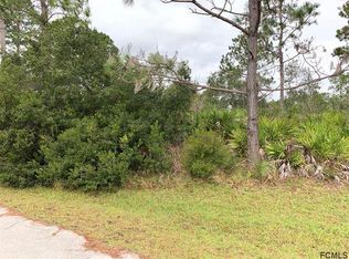 3 Seriema Pl, Palm Coast, FL 32164