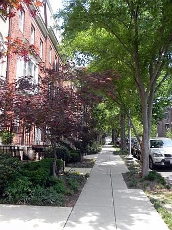 Street