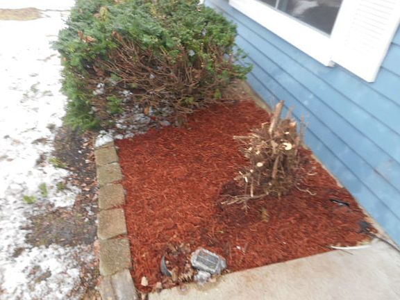 3rd image of 1135 Camden Ln