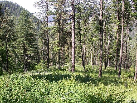 4th image of 64 XX SR 97 Blewett Pass Highway