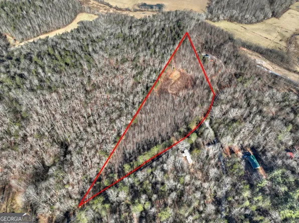 LOT 131 & #132, Blue Ridge, GA 30513