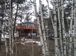 45 Columbine Rd, Florissant, CO 80816