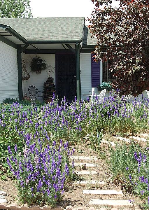 front yard