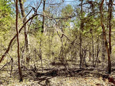 17965 Meandering Way, Flint, TX, 75762