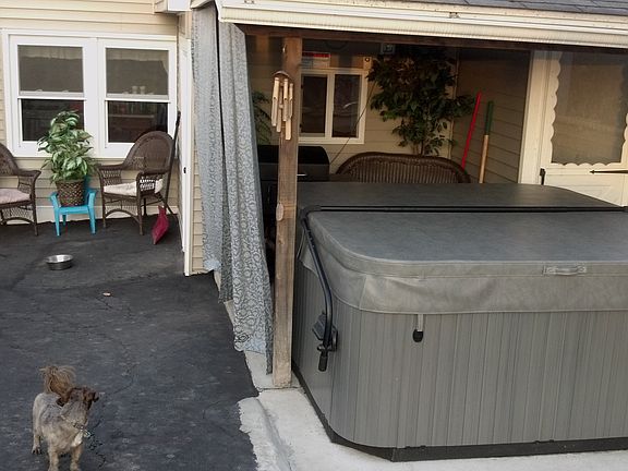 kitchen windows, back yard