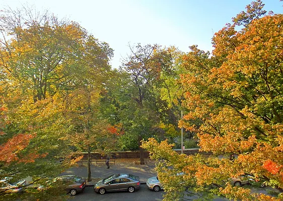 Rented by Balass Ralph, LREB | media 40