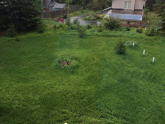 large backyard