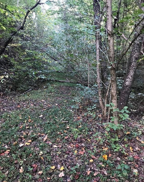 2nd image of LOT 3 Wildwood Rd