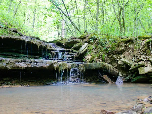 (undisclosed Address), Ozone, AR 72854