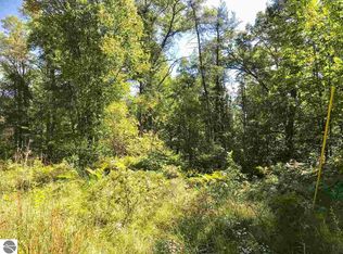 Vl E 40th Street, Idlewild, MI 49642