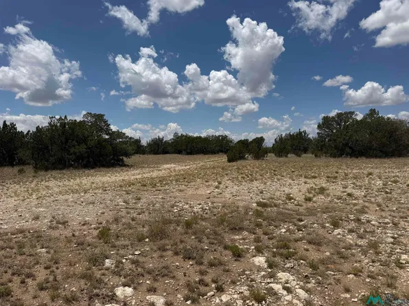 3724 Queens Hwy, Carlsbad, NM 88220