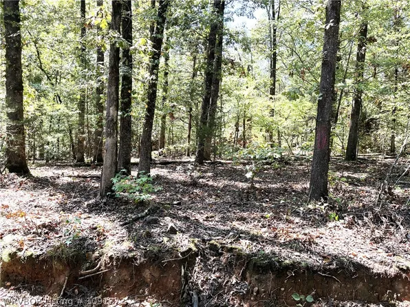 Doyel Rd, Mountainburg, AR 72946