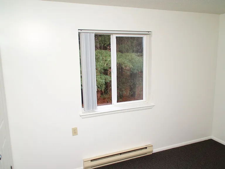 1038 Bonnieview Ter — Photo 14