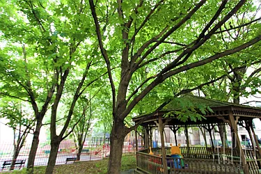 Rented by Alpha Properties NYC I LLC