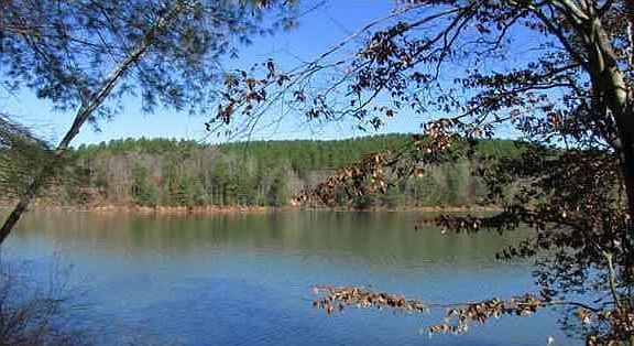 Bass Tournament Lake