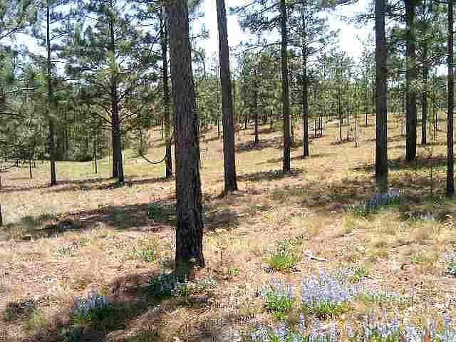 1st image of TBD Youngs Road Lot 11