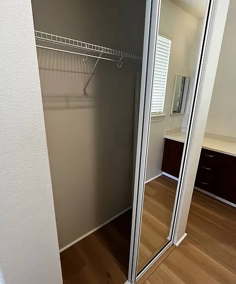 Mirrored second closet in primary bedroom