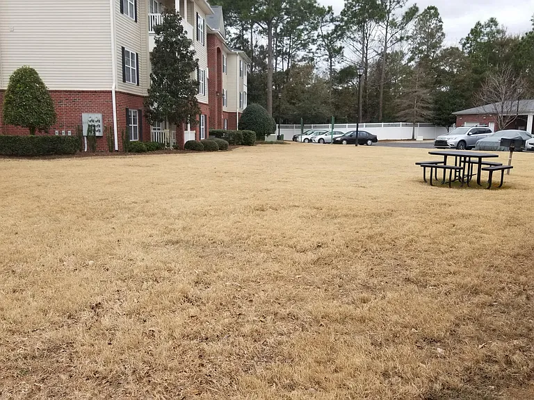Front & side yard space around the building