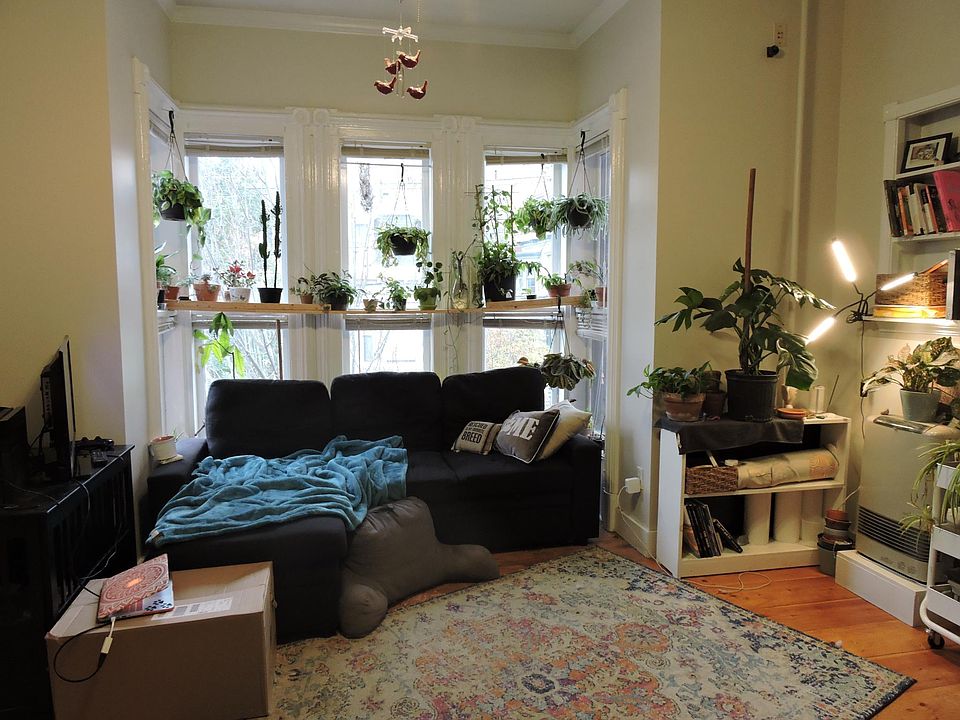 living room with vaulted ceilings and tall windows!