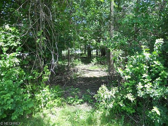 4th image of 7505 Jasani Ct