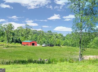 409 Old Driver Rd, Whitesburg, GA 30185