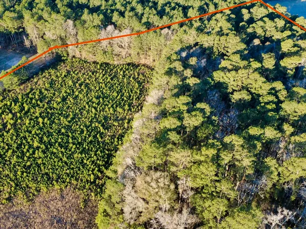 1 Dantzler Rd, Harleyville, SC 29448