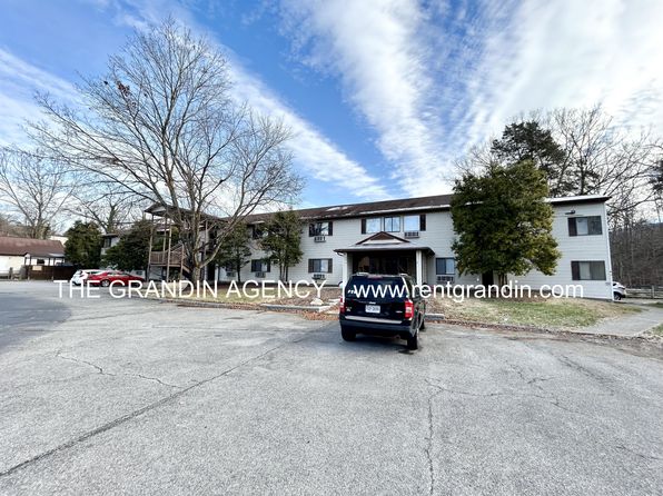 292 Alleghany Spring Rd #1