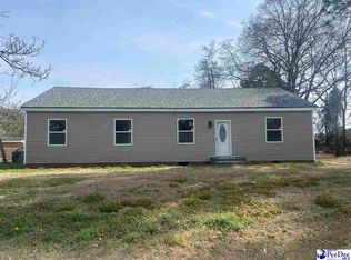207 W Smith Ave, Darlington, SC 29532