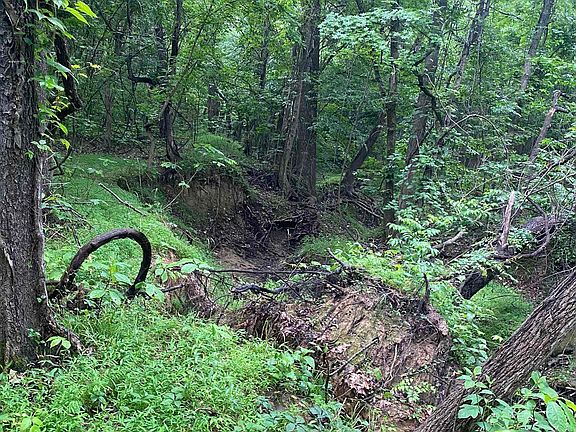 2nd image of County Road 326
