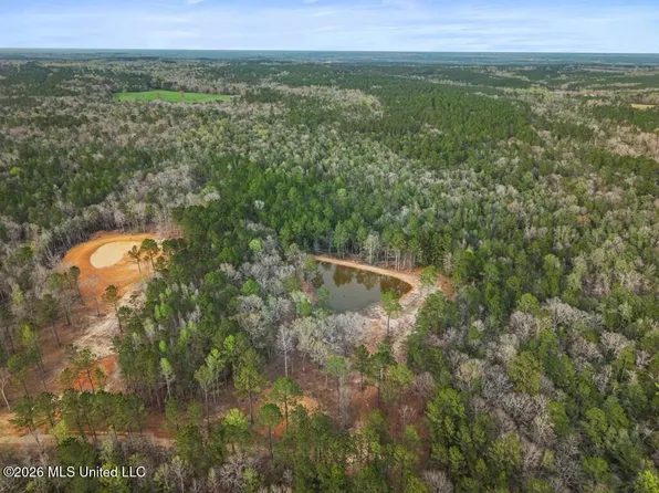 Antler Ridge Dr, Poplarville, MS 39470