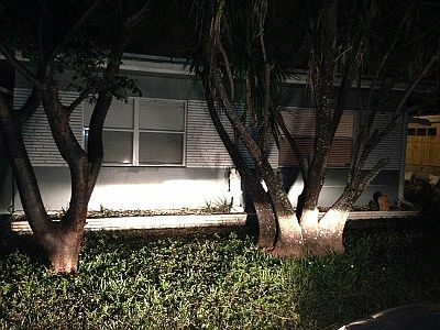 4th image of 1546 NE 32nd St