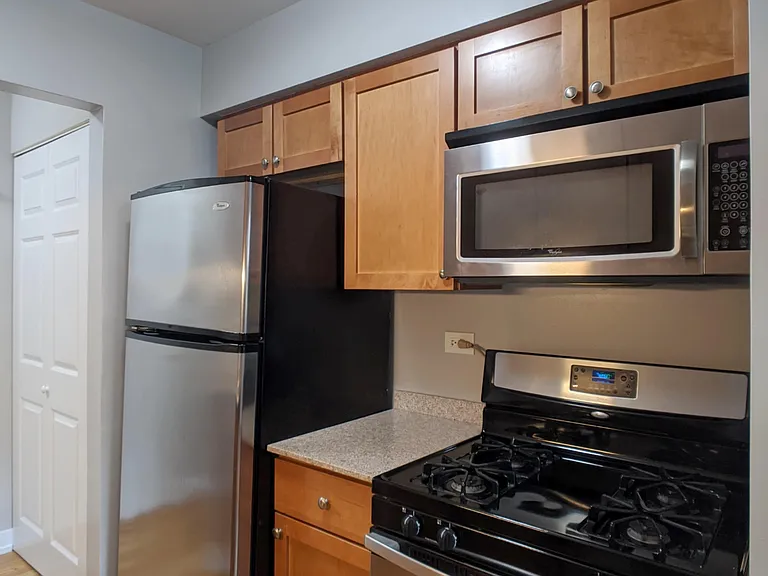 522 W Oakdale Ave #525-402 — Photo 6