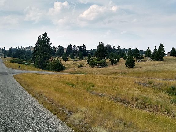 Large trees and rocks on west