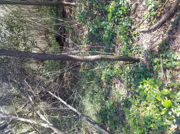 810 15th Ave, Phenix City, AL 36867