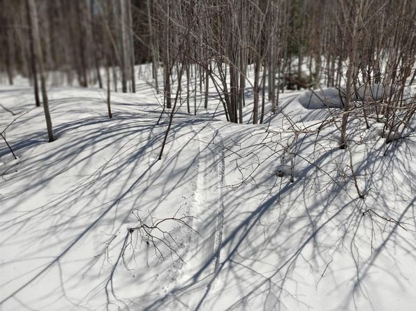 Woodspur Rd, Ontonagon, MI 49953