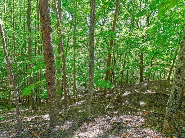 125 Indian Oak Dr, Waleska, GA 30183