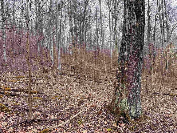 3rd image of LOT 1 Red Rock Rd