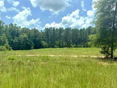 18868 Honeysuckle Creek Ln, Andalusia, AL, 36421