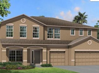 17785 Cortes Creek Blvd, Spring Hill, FL 34610