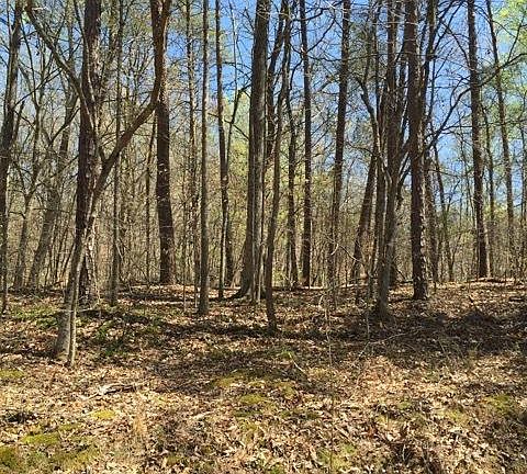 4th image of 145 Sylvan Way Lot 5R